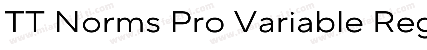 TT Norms Pro Variable Regular字体转换